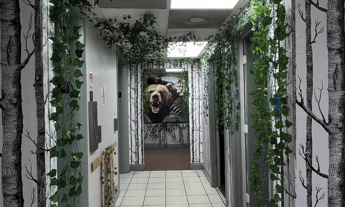 East Memphis Hostel | Cozy Bears Bunkers