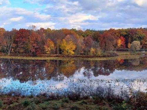 Berrien Springs House | Smitten in da Mitten - 18 acres, Arcades, High Spd Web, Hot Tub, Pond!