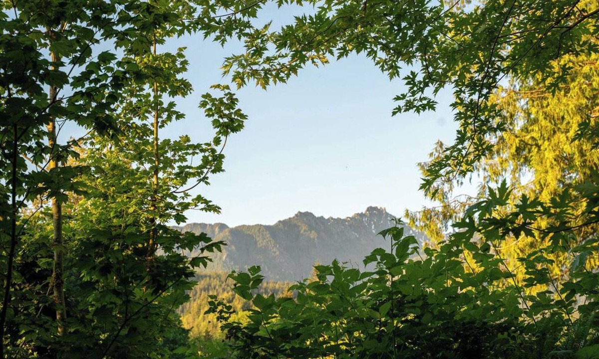 Gold Bar Cabin | Tree Frog Terrace - mountain trail w/views, river access, 4+pets