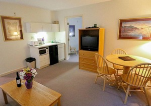 Efficiency with Sleeper Sofa only 214