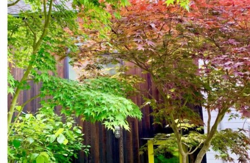 Harrison/Denny-Blaine House | Bright Madison Valley Guest House