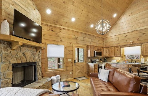 Blue Ridge Cabin | Cabin in the Trees Overlooking Stocked Trout Stream. Hot tub and Fire pit.