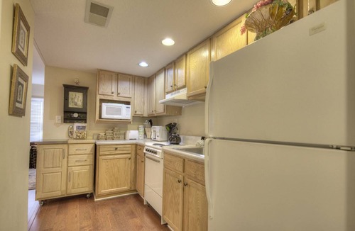 Pigeon Forge Condo | Condo ∙ 1 bedroom ∙ 4 guests