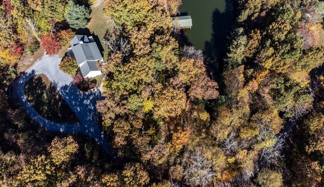 Beautiful pond side mountain retreat - near Massanutten Resort and hiking trails