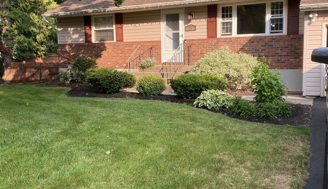 Belmont Summer Track SPAC Rental Close to it all!