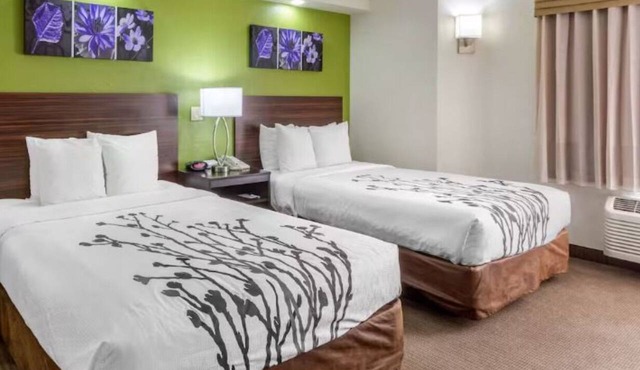 Conveniently Located Modern Rooms – Near Downtown Tampa Hot Spots | 2 Units