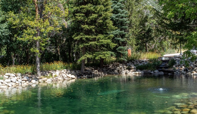 Creekside Family Cabin