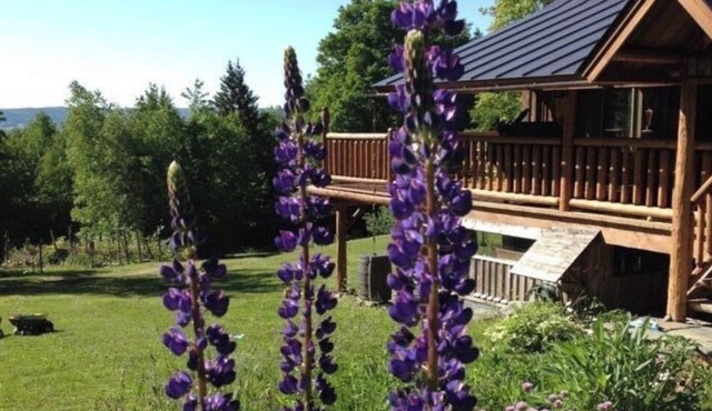 Custom Built Luxury Log Home, Best on property Trout Fishing!