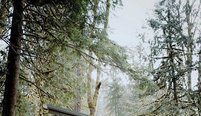 CYCLOPS: A Cabin Escape in the Cascades