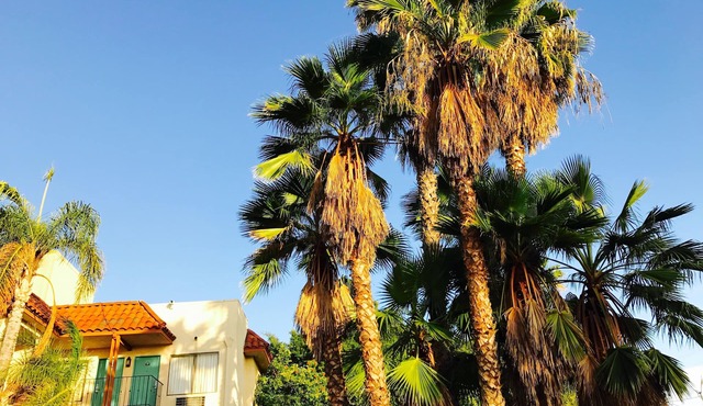 Days Inn by Wyndham Anaheim Near the Park