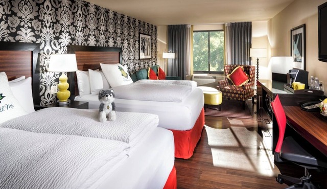 Ensemble 2 Queen Junior Suite - Staypineapple, The Maxwell Hotel, Seattle Center