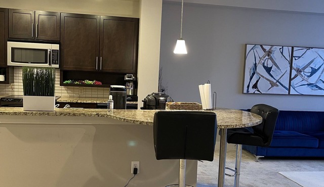 Great Apartment in the midtown area