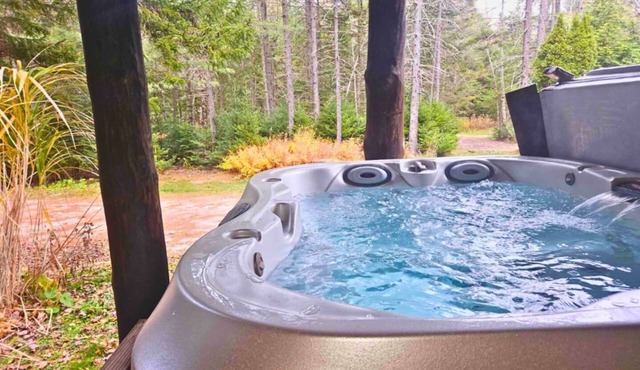 Green Mtn Haven Dog Friendly Hot Tub Okemo
