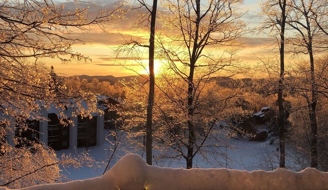 Kettle Brook 2 BR & 2 BA ski in/out condo on Okemo Mountain