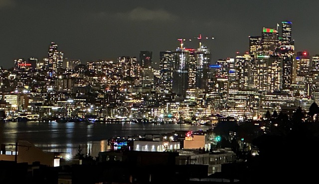 Luxe home near Space Needle & Lumen Field w/Views