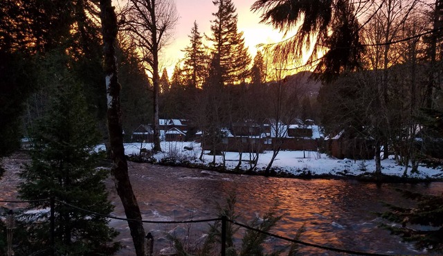Mckenzie River Cabin #13 at the Log Cabin Inn, screened porch, .5mi Trailhead