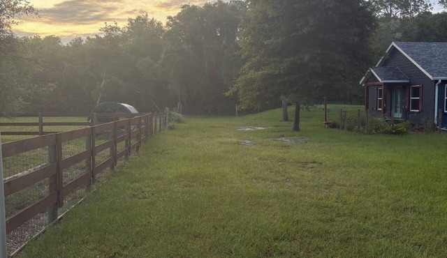 Peaceful 4-Acre Sanctuary: Healing Nature Retreat Near Springs and WEC