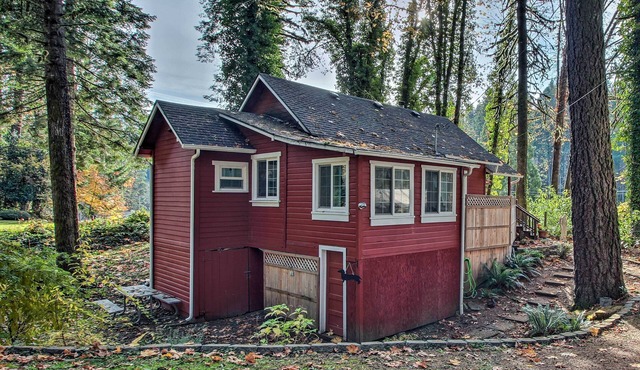 Peaceful McKenzie River Retreat: Fish, Hike, & Ski