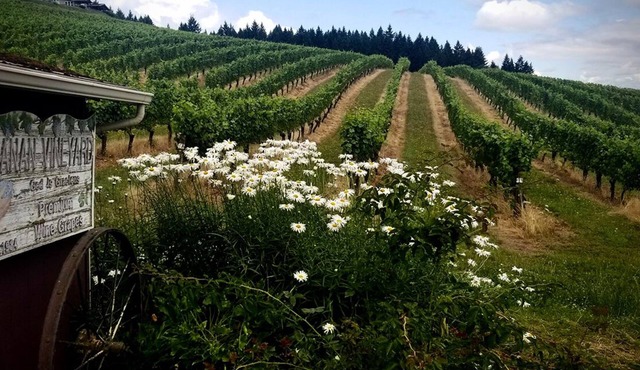 Sarver Winery Guesthouse