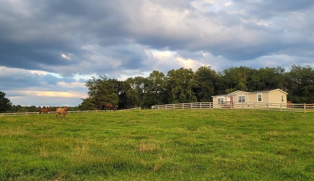 Secluded cabin on a horse farm, bordered by the North River