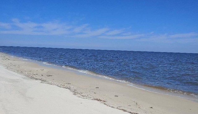 Secluded Florida Beach Bungalow BEST OF BOTH WORLDS BEACH TIME & FISHING TIME!
