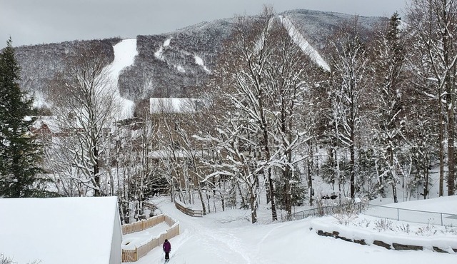 Ski-on/Off, Slope Views, Mountainside Top Floor, Vaulted Ceilings, Gas Fireplace