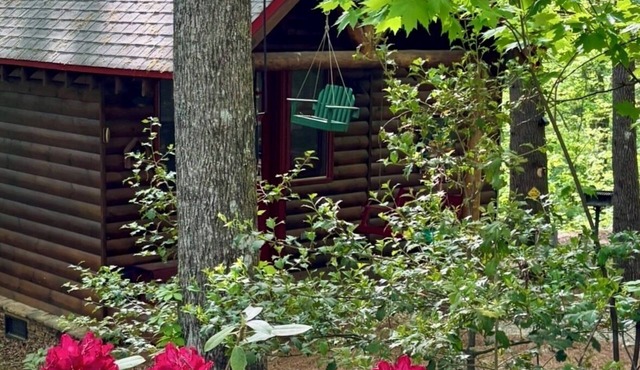 Small cozy log cabin sleeps two, where nature abounds near the Tallulah River