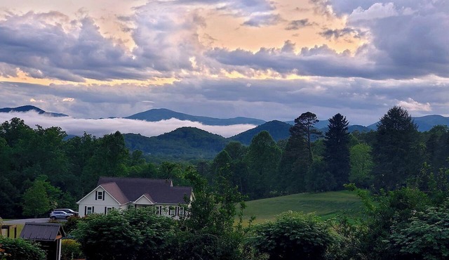 Stunning Views w/Firepit, 2/1 Cottage, Creek, Starlink, ADA + Pet Friendly