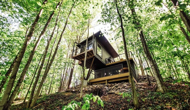 Treehouse Private Acerage