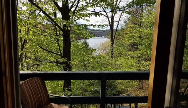 Treehouse type cottage in private location - Pet friendly!