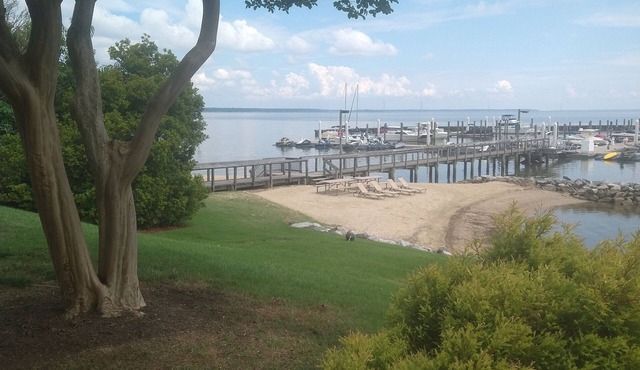 Walk to beach, large room on wooded lake, "Kingsmill on the James"
