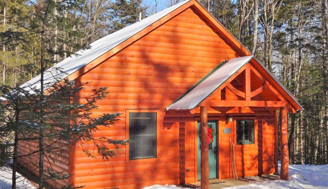 Welcoming, pet-friendly cabin in Green Mountain Nat'l Forest