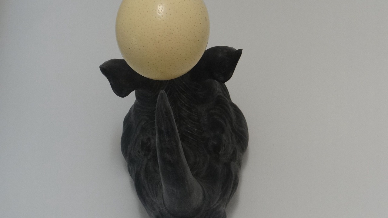 Photo of Others in Santissima Annunziata