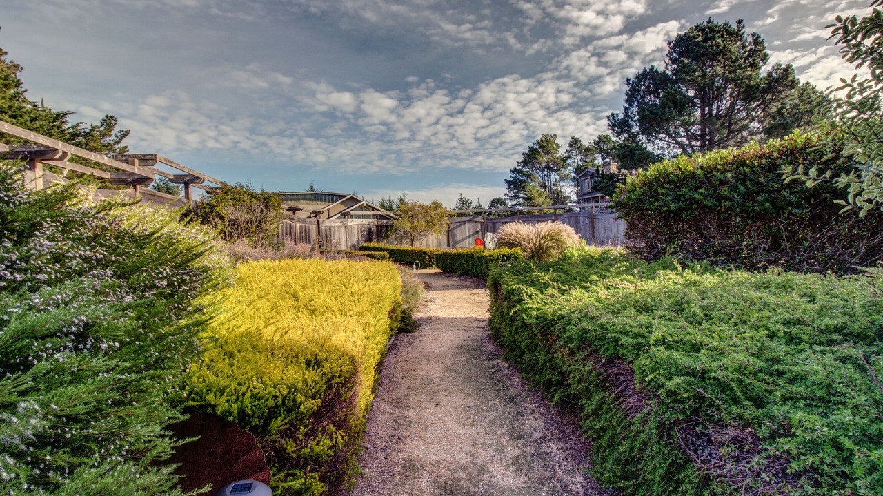 Photo of Outdoor in Mendocino