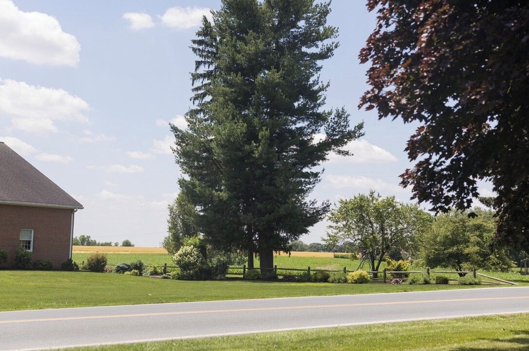 Photo of Others in Lititz