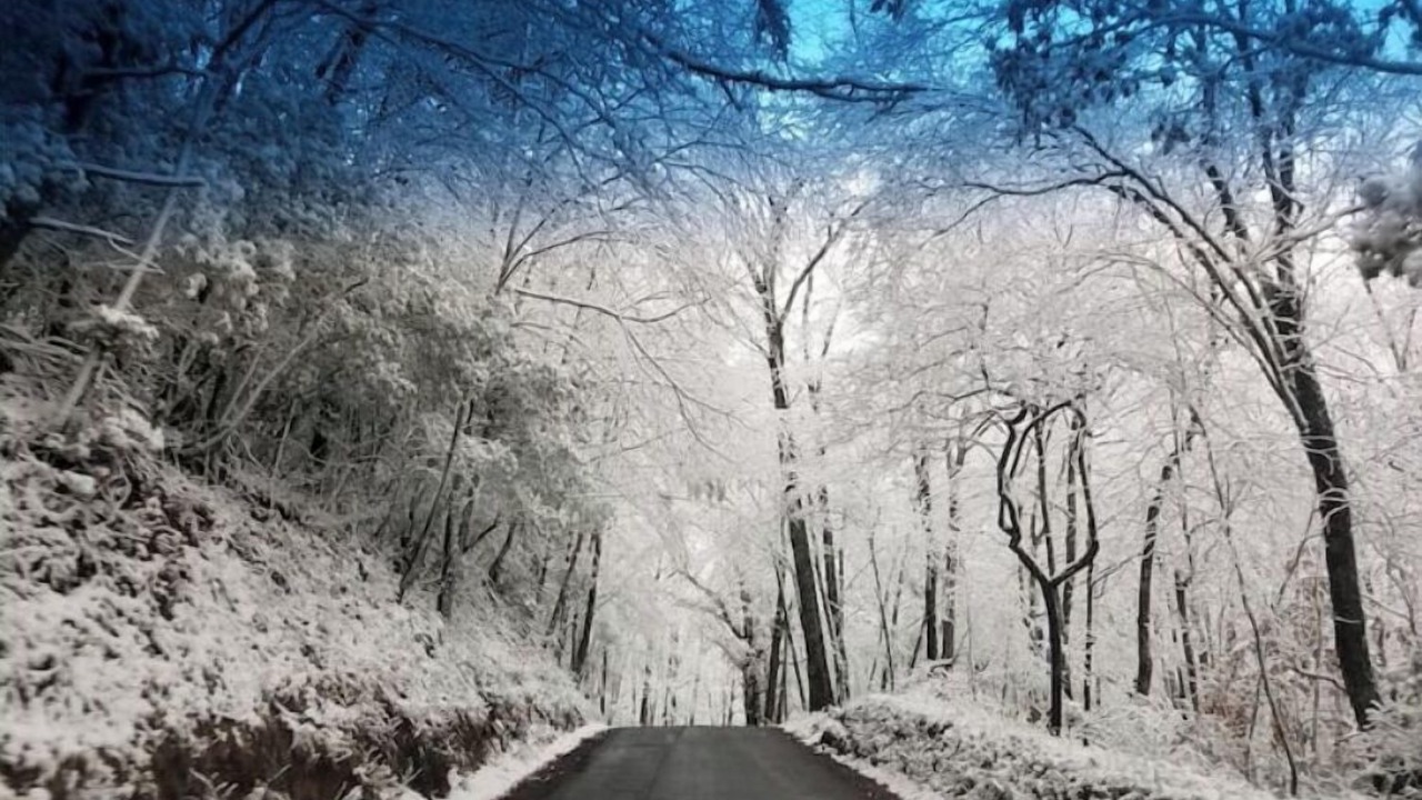 Photo of Outdoor in Suches