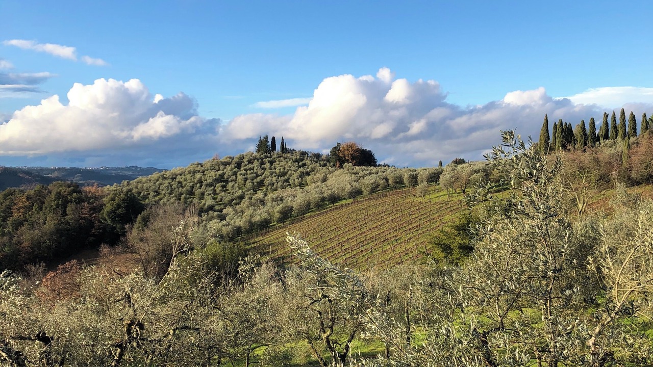 Photo of Others in San Casciano in Val di Pesa