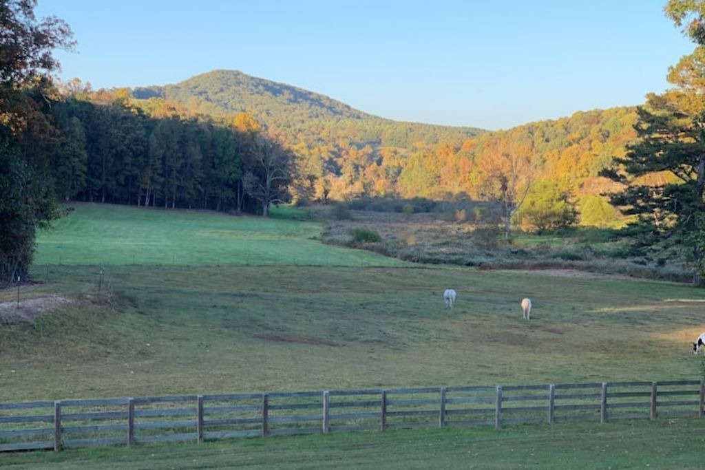 Photo of Others in Ellijay