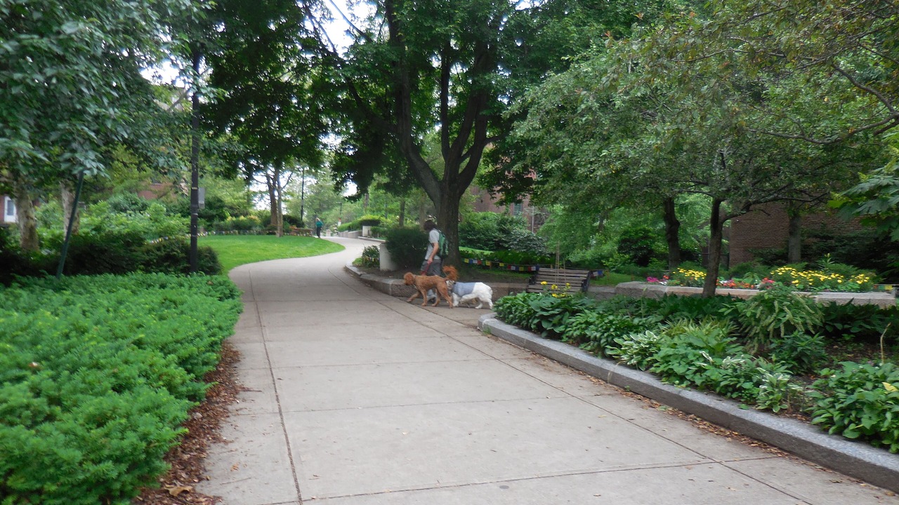 Photo of Outdoor in Columbus