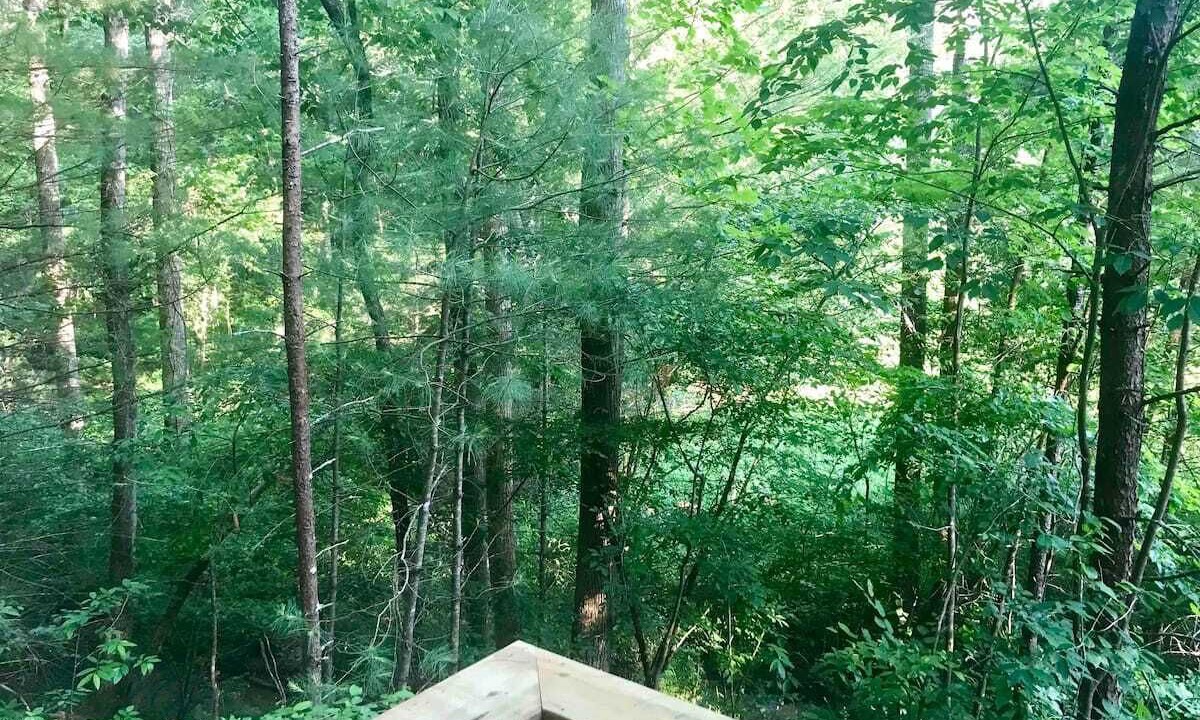 Photo of Outdoor in Suches