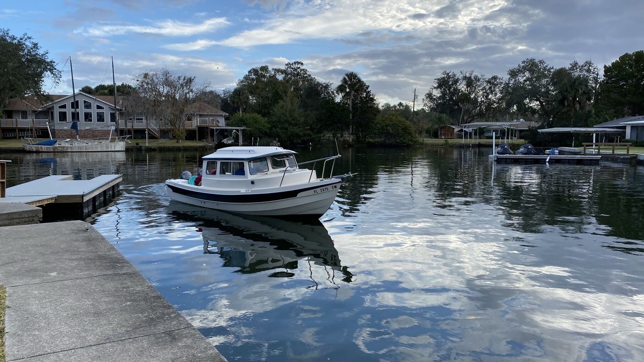 Photo of Others in Crystal River
