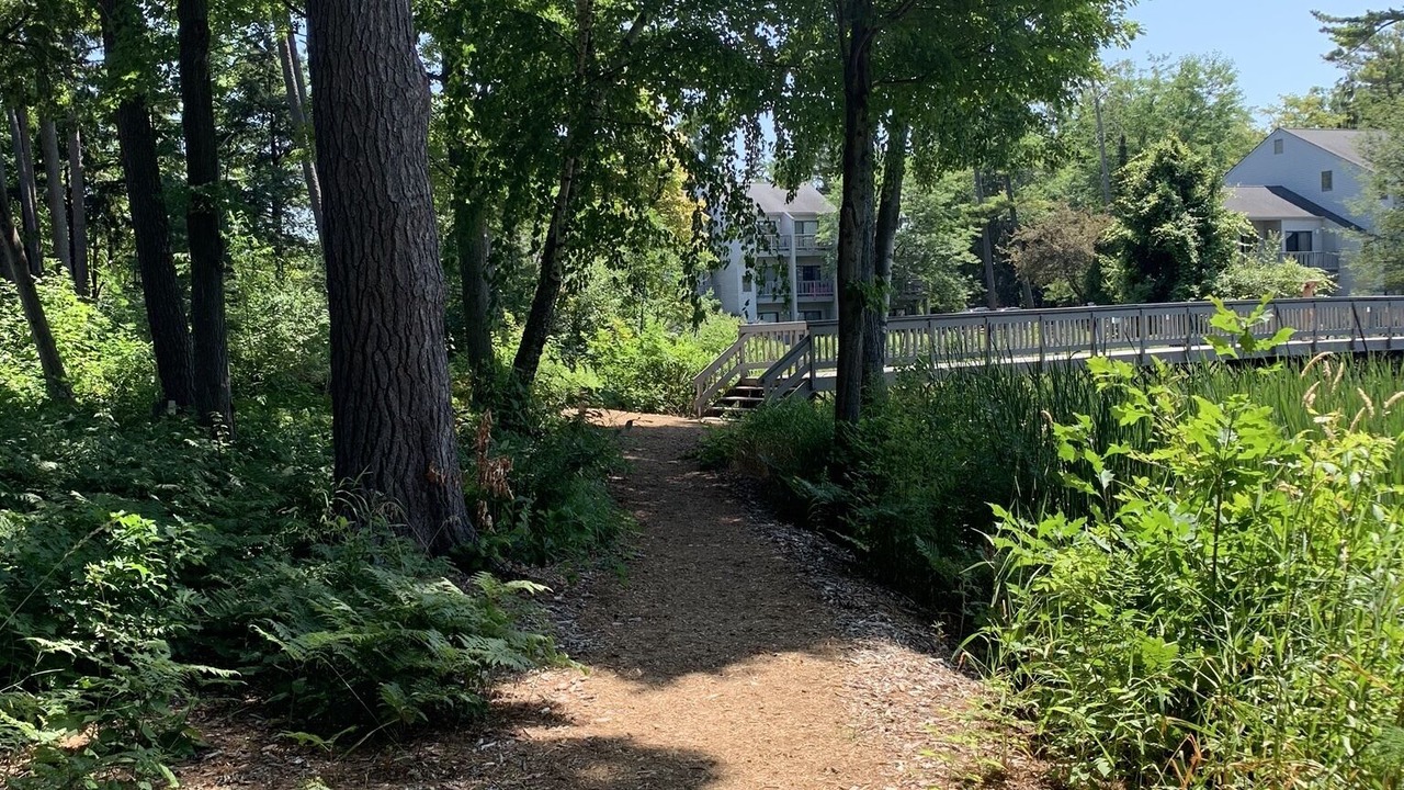 Photo of Outdoor in Acme