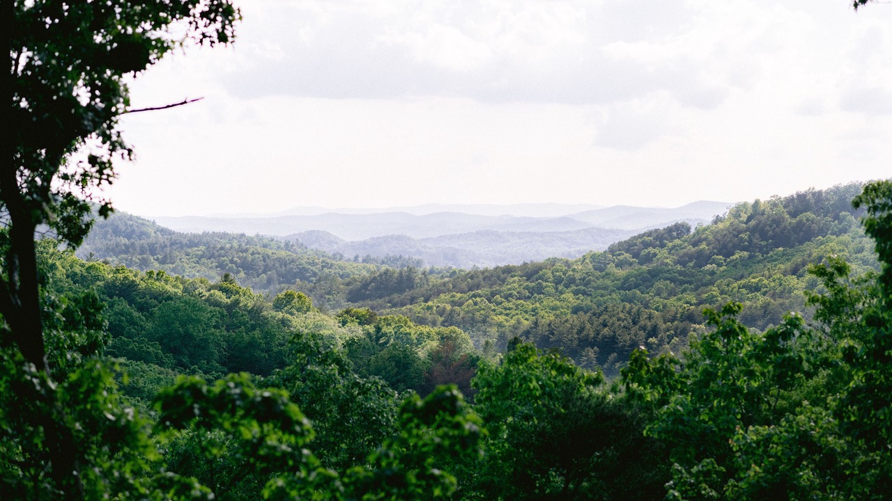 Photo of Others in Blue Ridge