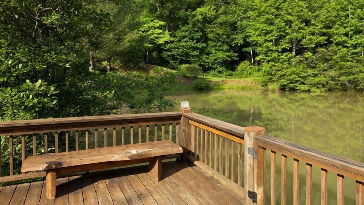 Photo of Outdoor in Blue Ridge