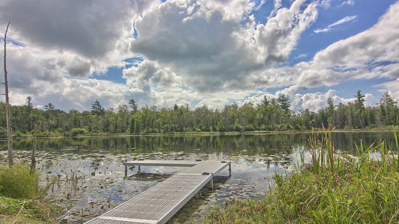 Photo of Outdoor in Interlochen