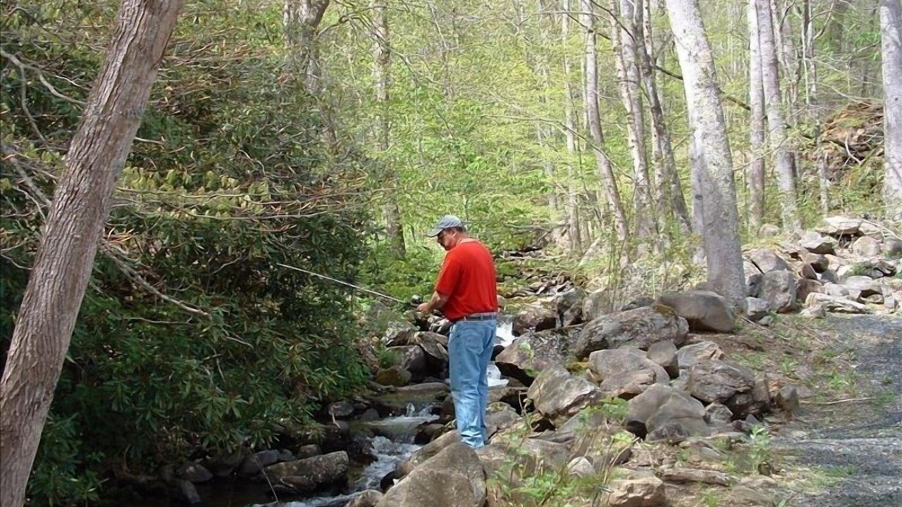 Photo of Others in Bakersville