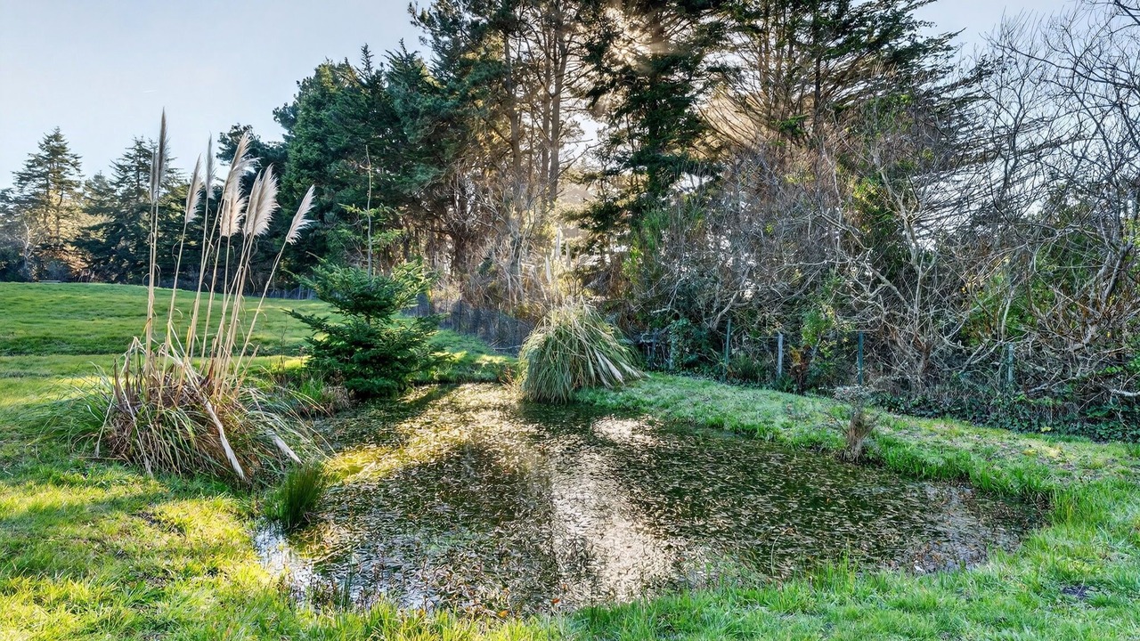 Photo of Outdoor in Mendocino