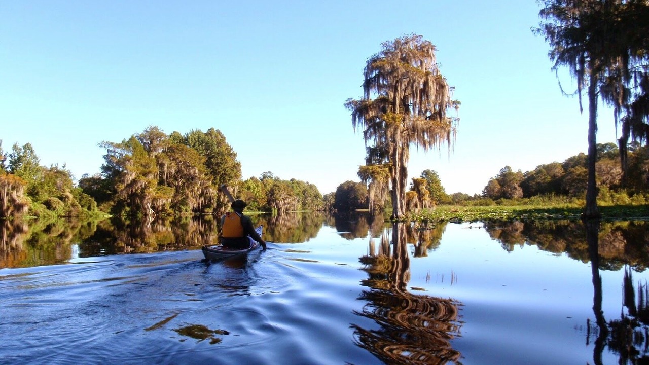 Photo of Others in Dunnellon