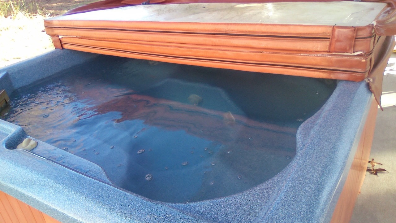Photo of Outdoor in Homosassa