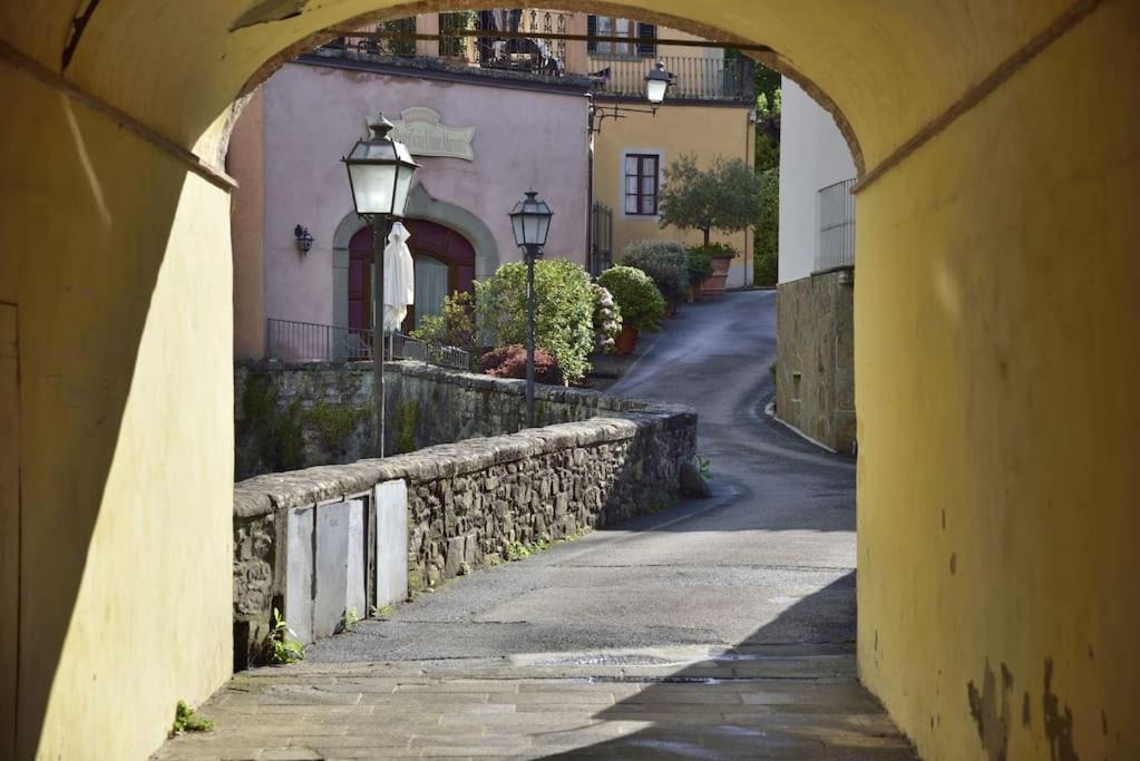 Photo of Others in Greve in Chianti